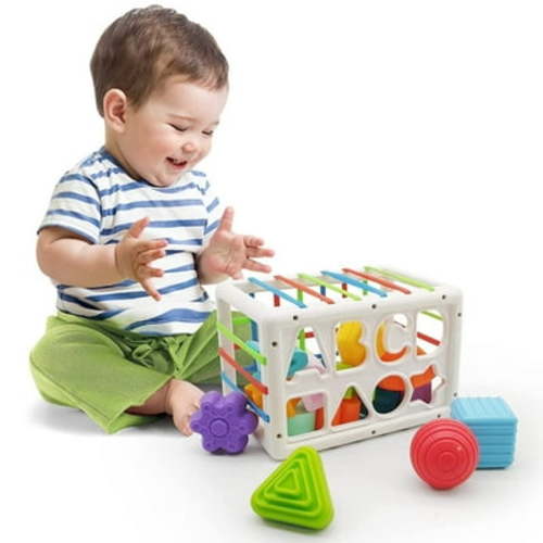 Toys for 1 Year Old, Shape Sorter Learning Toys for Baby 6-12 Months, Montessori Toys for Boys Girls Christmas Easter Gifts