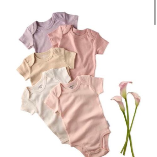 AVERY 5-Pack Short Sleeve Bodysuits, Sorbet - butterblu | Maisonette