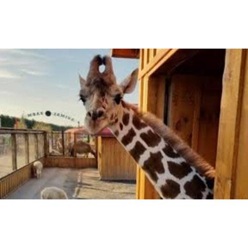 White Post Animal Farm Gift Card