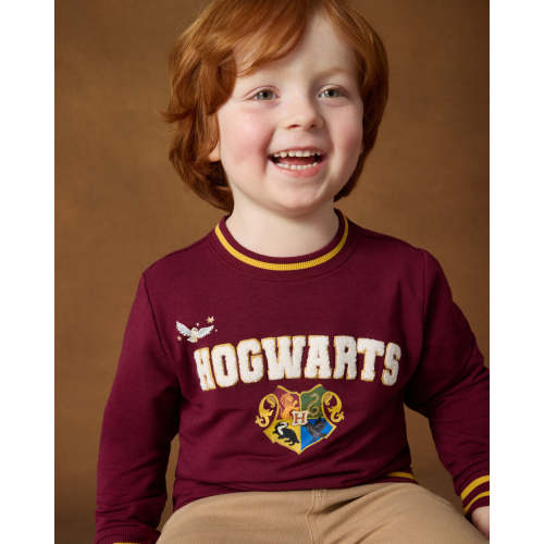 Harry Potter™ Spellbinding Studies Adult Crewneck Sweatshirt