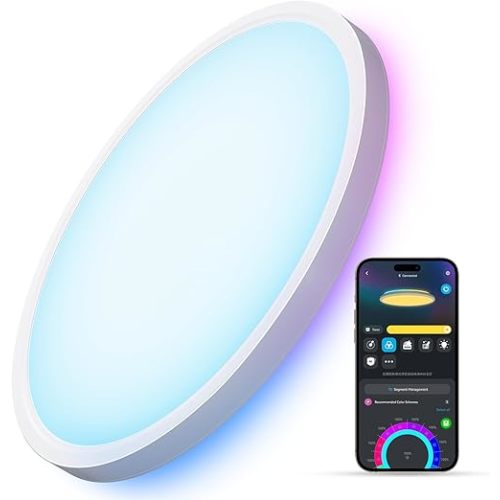Govee Smart Ceiling Light, RGBIC LED Ceiling Light Fixture, 2400LM Flush Mount Light Fixture, DIY Colors, Works with Alexa, 2200K-6500K Ceiling Lights for Bedroom, Living Room, 12 Inch, 1 Pack