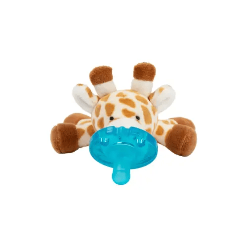 Plush Pacifier Toy