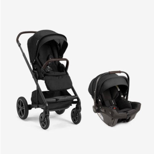 Stroller & Car Seat Fund - $1,800