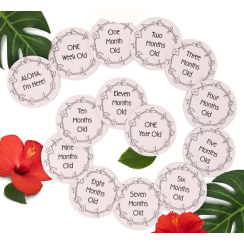 Milestone Photo Cards