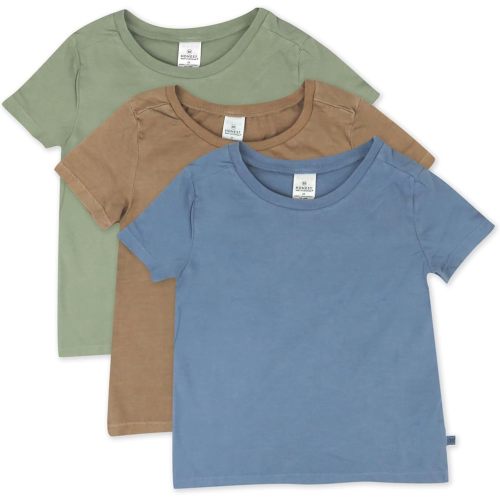HonestBaby Multipack T-Shirts Short Sleeve Pocket Tees 100% Organic Cotton for Infant Baby and Toddler Boys, Girls, Unisex, Cornflower Wash, 3-6 Months
