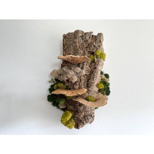 Floating Forest Art Gift, Moss on Cork Bark Natural Wall Decor, EcoFriendly Hanging Bark, Preserved Moss & Mushrooms, Vertical Garden Indoor