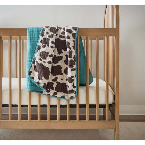 Giddy up baby blanket