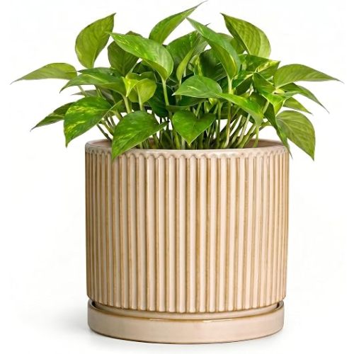 Ceramic Planter, 6 Inch Plant Pot, Pots for Plants with Tray, Beige