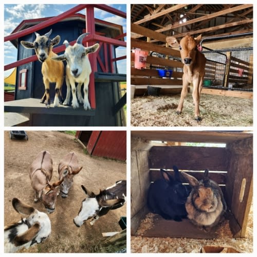 Orr's Summer Season Pass - Orr's Farm Market