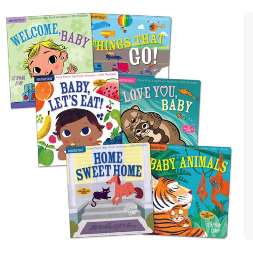 Indestructibles Basic Words Picture Books - Set of 6