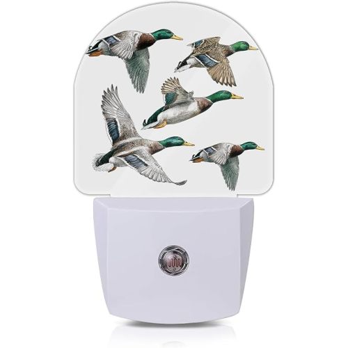 Night Light,Duck Mallard Wild Bird Plug in NightLights with Dusk to Dawn Sensor,Wall Nightlight for Bedroom Bathroom Living Room,Soft Warm Sleep Night Lights