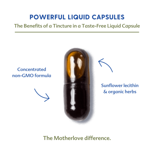 Moringa | Motherlove – Motherlove Herbal Company