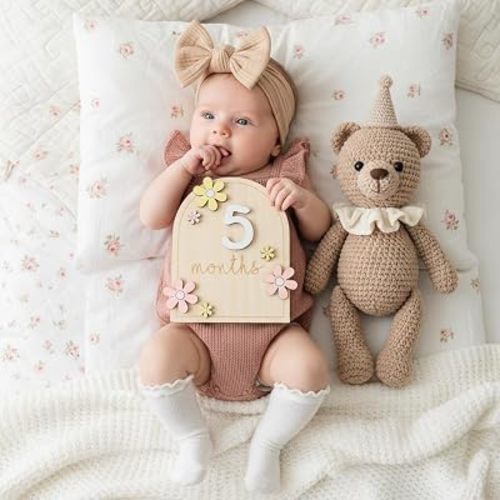 Baby Monthly Milestone Sign, 1-12 Monthly Milestone Signs