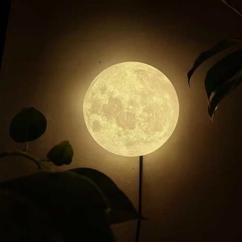 Semicircular Moon Wall Light - 11.8 in