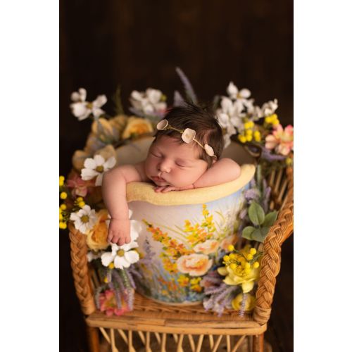 Kali Rushing Photography Newborn Session
