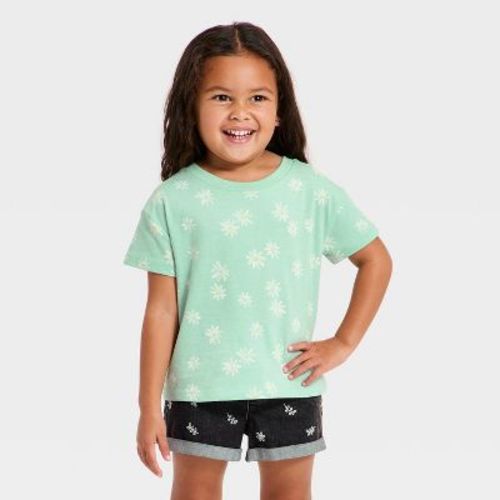 Toddler Girls' Daisy Oversized T-Shirt - Cat & Jack™ Mint Green 4T
