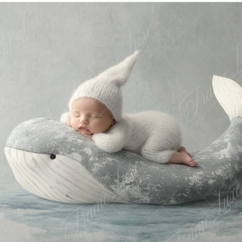 Newborn photography session - group fund