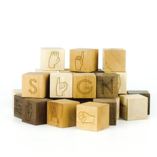 Little Sapling ASL Building Blocks