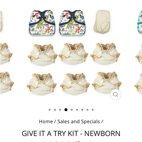 Cloth-eez Workhorse Give It a Try Kit