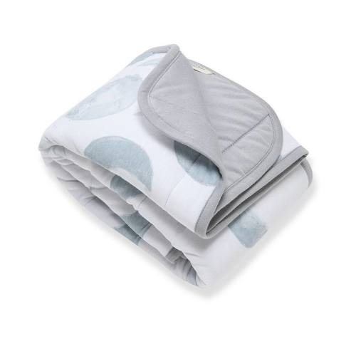 Burt's Bees Baby Organic Cotton Reversible Baby Blanket