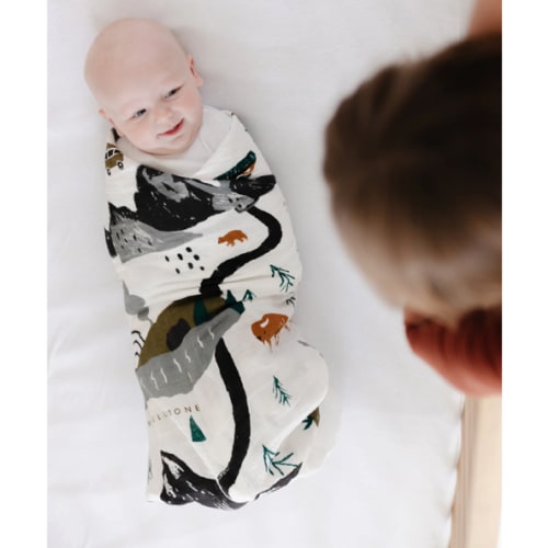 National Parks Swaddle