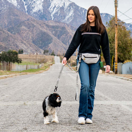 Utility Fanny Pack – The Mountain Hound