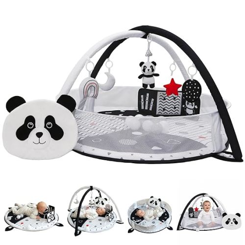 Aila+Aiden 6-in-1 XL Play Mat & Play Gym, Baby Gym, Baby Activity Gym, Sensory Exploration and Motor Skill Development Toys (Blush)