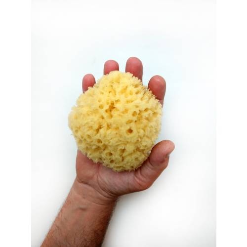 All Natural Sea Sponge (4-5inch)