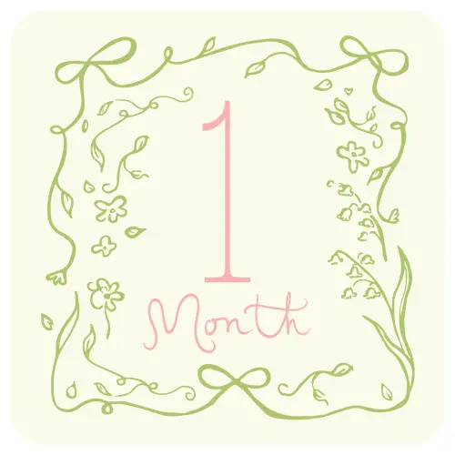 Bow Bloom Milestone Cards — Low & Co. Studio