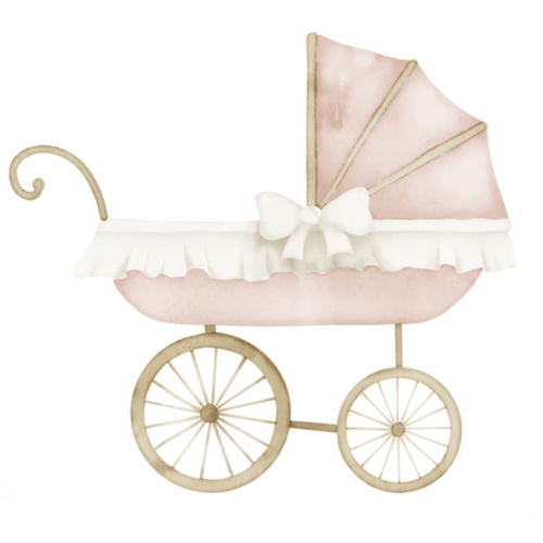 Stroller Fund