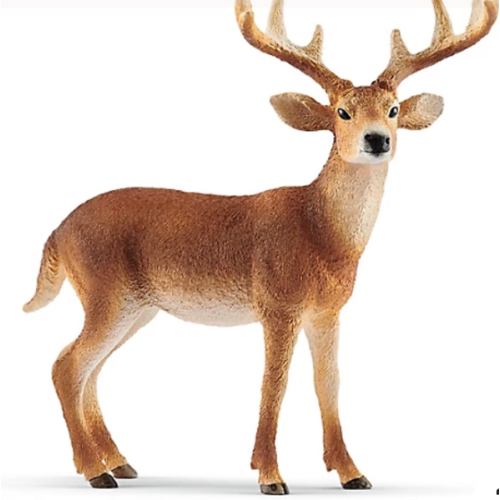 Schleich White-Tailed Buck Toy Figurine at Tractor Supply Co