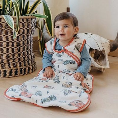 Copper Pearl Disney Pixar Cars 1.0 TOG Sleep Bag 6-12mo