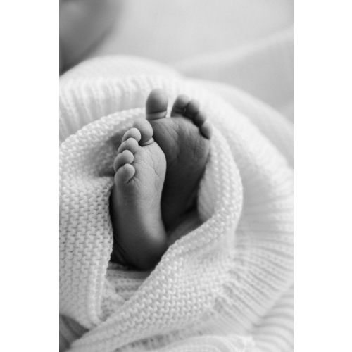 Newborn Photography Session