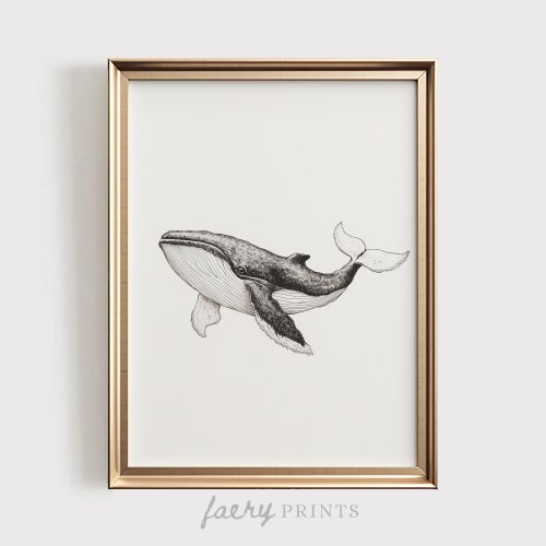 Whale Sketch Art Print | Ocean Nursery PRINTABLE Wall Art | Minimalist Coastal Baby Room Decor | Vintage Nautical Digital Dwonload | #1172