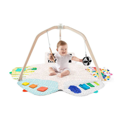 The Play Gym