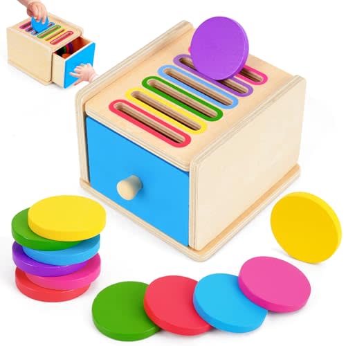 FCSONU Toddlers Montessori Coin Box Toys for 1 2 3 Year Old Boys Girls Baby | Learning Color Sorting Toys | Sensory Toys | Fine Motor Skills Toys for Toddlers 1-3, Easter Christmas 1st Birthday Gifts 12M