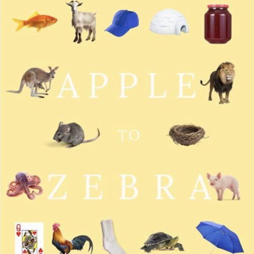 Apple to Zebra - A Primer Designed to Align with Phonics Instruction