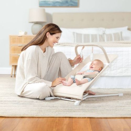 Baby Delight Highland Organic Portable Baby Bouncer