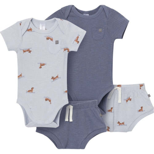 4-Piece Baby Boys Dachshund Surf Bodysuit and Shorties