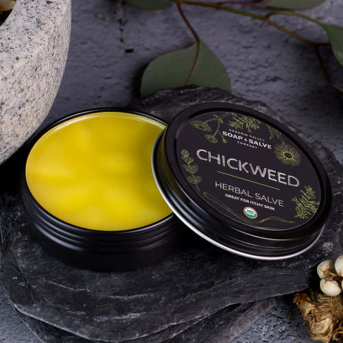 Salve: Chickweed – Chagrin Valley Soap & Salve