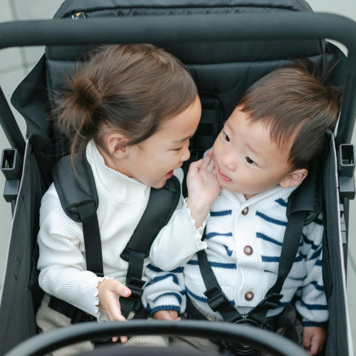 Larktale Double Seat Kit - Caravan - Black