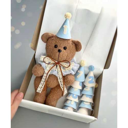 Teddy Bear Monthly Set, Milestone Photo Prop, Baby Keepsake 12 Hats, First Birthday Gifts