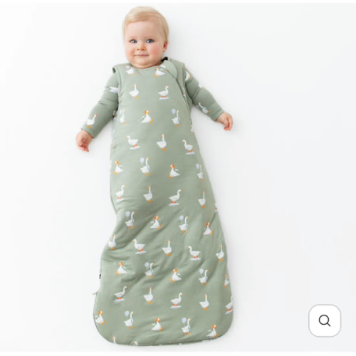 Sleep Bag in Silly Goose 2.5