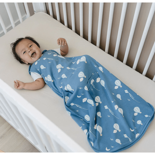 4 Season® Ultimate Baby Sleep Bag, Merino Wool & Organic Cotton, Hot Air Balloon