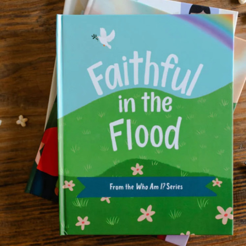 Faithful in the Flood | Children's Book – The Daily Grace Co.