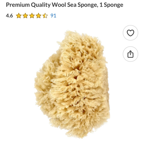 Premium Quality Wool Sea Sponge, 1 Sponge