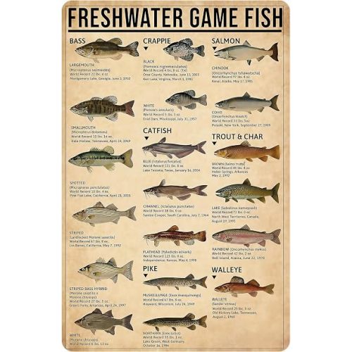 Smilelife Boy's Fishing Gifts Vintage Fresh Water Gamefish Knowledge Metal Sign for Man Cave Boys Hunting Room Bedroom Lake House Cabin Wall Art Decor 8x12 Inch (3069)