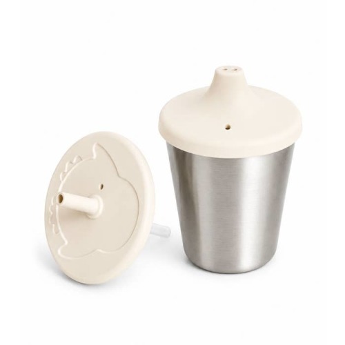 Stainless Steel 2-in-1 Cup with Straw and Spout