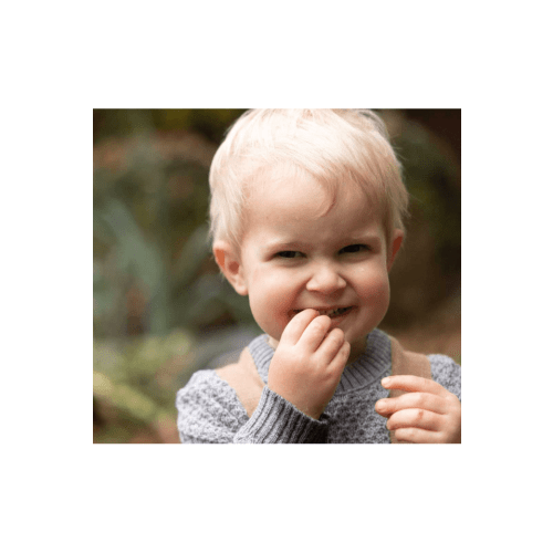 N EW Colors! Disana Aran Sweater (12 mo - 10 years)