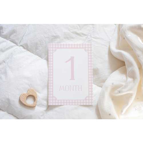 Baby Girl Milestone Cards, Pink Gingham Milestone Cards, Baby Girl Monthly Milestones, Baby Shower Gift, Baby Month Cards, Welcome Baby Sign